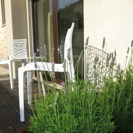 Boutique Casa Do Outeiro - Arts & Crafts מלון 4*